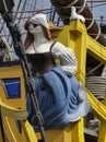 Closeup of figurehead on board vintage sailing ship.